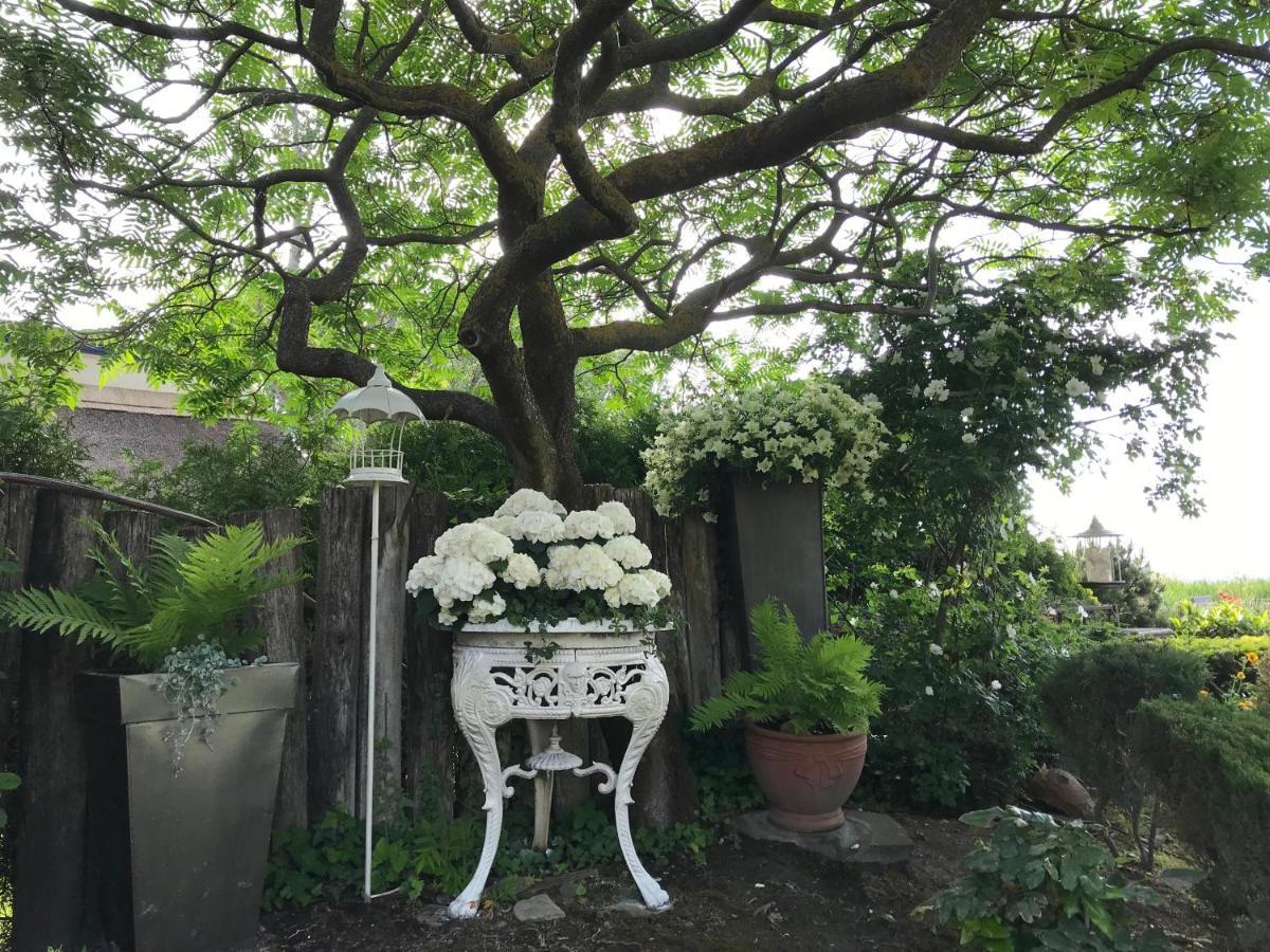 Viktoria House Villa Balatonszarszo Ngoại thất bức ảnh